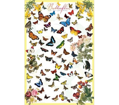 Beautiful Butterflies On Your Dorm Wall - A Vibrant Dorm Wall Poster made for Nature Lovers