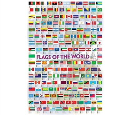 Awesome International Room Idea - Flags of the World 2008 Poster