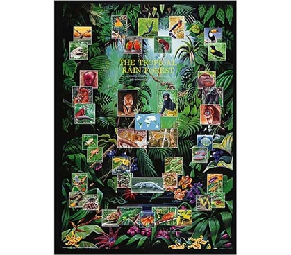 Tropical Rain Forest Animal Collage - Cheap Dorm Room Poster For College Wall