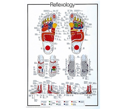 Reflexology of the Foot - Unique Wall Poster
