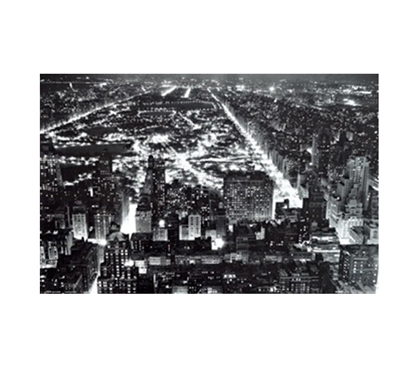 Beautiful View of NY Central Park Poster