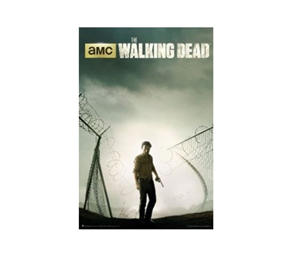 Decorate Your Dorm - The Walking Dead Season 4 Poster - Great For Fans Of The Show