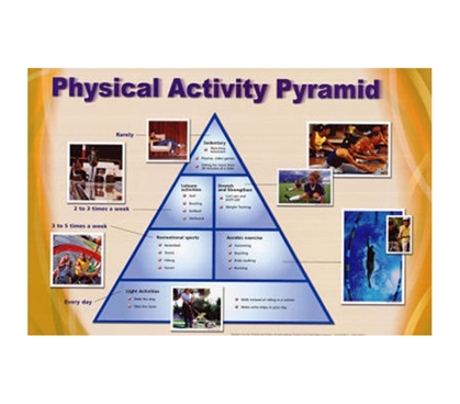 Physical Activity Pyramid - Exercise Chart Dorm Poster