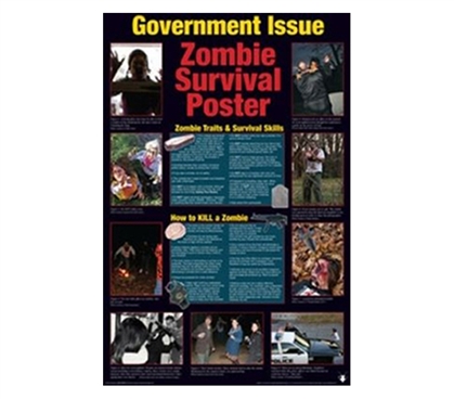 Zombie Survival Guide Poster