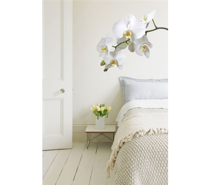 White Orchid Flower Wall Art - Peel N Stick - Don't Let Dorm Walls Be Drab