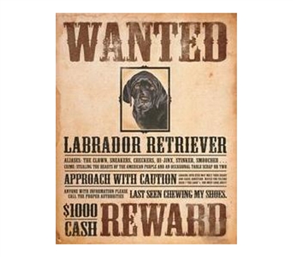 Best Items For Dorms - Wanted Retriever Tin Sign - Tin Signs For College