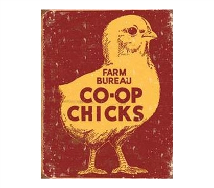 Best College Supplies - Co-Op Chicks Tin Sign - Decor For College