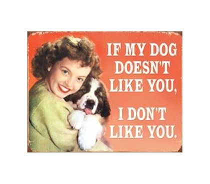 Fun Supplies For College - My Dog Doesn't Like You Tin Sign - Decorate Your Dorm Room