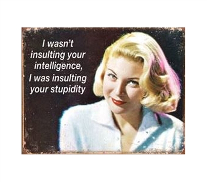 Decorate Your Dorm Room - Insulting Intelligence Tin Sign - Best Items For College