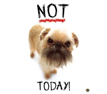 "Not Today!" Dog College Dorm Poster for decorating college walls shows cute but grumpy little puppy