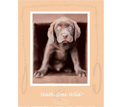 "Youth Gone Wild" Dog College Dorm Poster cute dorm poster shows brown puppy dog going wild and melting hearts