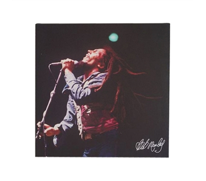 Dorm Room Decor Dorm Room Decorations Bob Marley Roaring Wall Canvas