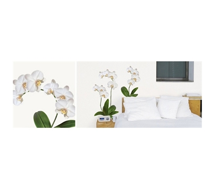 Prance Through The White Orchid Of Dorm Decor  - Peel N Stick