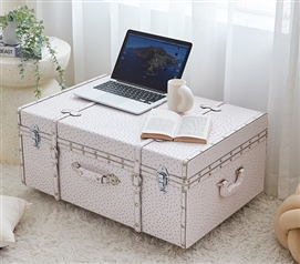 Space Saving Dorm Room Ideas Beige Decor Storage Chest with Lock College Footlocker Trunk