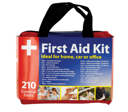Dorm Doctor Medical Kit Dorm Emergency Kit Bag Dorm Bathroom Essentials List Dorm First Aid