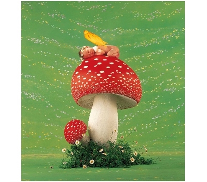 Anne Geddes - Toadstool - College Dorm Poster Dorm Room Decorations Must Have Dorm Items Dorm Room Decor