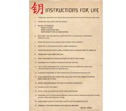 College Decorations Are Cheap - Dalai Lama - Instructions for Life - Add Decor To Dorms