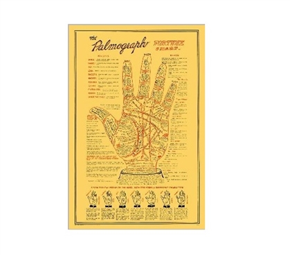 Palmograph College Poster Wall Decorations for Dorms Must Have Dorm Items