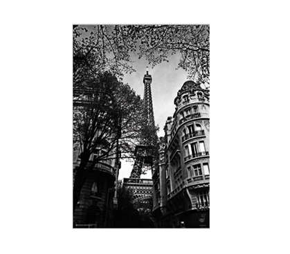 Dorm Room Decorations Eiffel Tower- Black and White Poster for Dorm Rooms Must Have Dorm Items