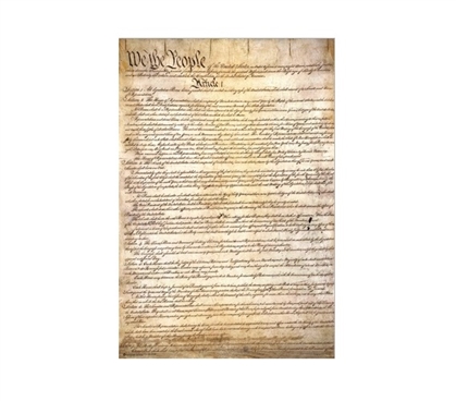 US Constitution Poster Dorm Essentials College Wall Decor