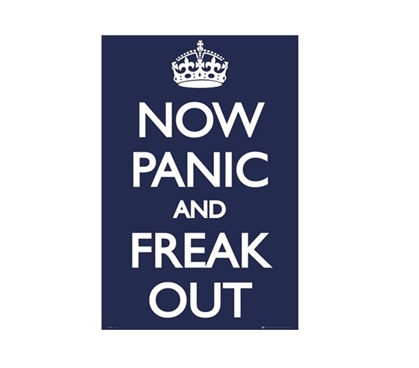 Panic- Freak Out Dorm Room Poster Dorm Room Decorations Wall Decorations for Dorms