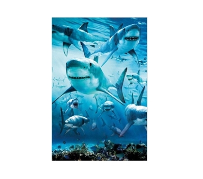 Shark Infested Dorm Poster Dorm Room Decorations