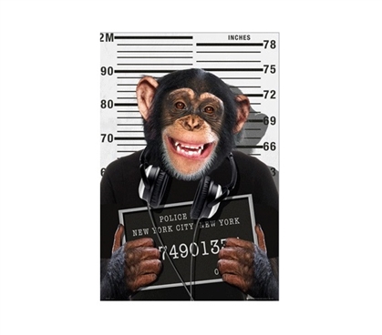 Chimp Mug Shot Dorm Poster College Supplies Dorm Room Decorations