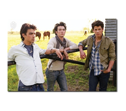 Cheap Portrait Of The Jonas Brothers 'Sunshine' Poster