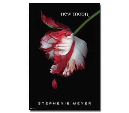 New Moon Cover Twilight Poster Dorm Decor