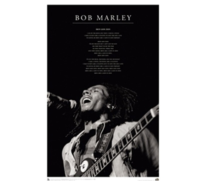 Bob Marley - Iron Lion College Dorm Music Poster reggae music themed college dorm room size poster of Bob Marley