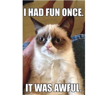 Buy Posters Online - Grumpy Cat - Fun Poster - Funny College Items