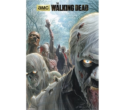 College Posters - Walking Dead - Zombie Poster - Decorate Your Dorm