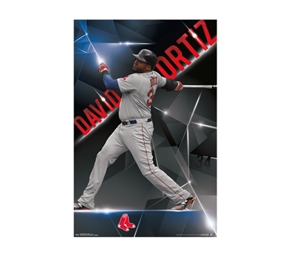 Boston Red Sox - Ortiz - College Dorm Posters Dorm Wall Art Dorm Room Wall Decorations