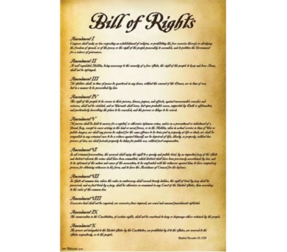 Decorate Your Dorm - Bill of Rights - U.S.A. Poster - Cheap Dorm Stuff