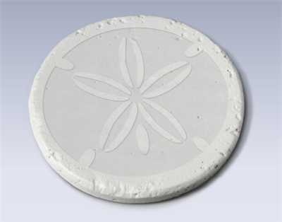 Sanddollar Coaster