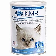 PetAg KMR Kitten Milk Replacer 12 oz powder
