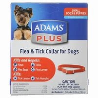 Adams Plus Flea & Tick Collar for Small Dogs