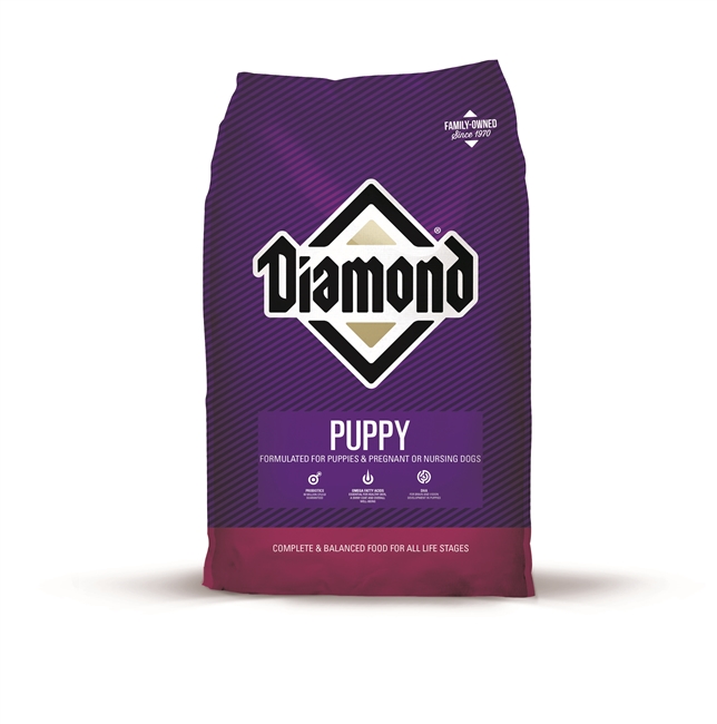 Diamond  Puppy 8#