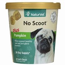 NaturVet No Scoot Plus Pumpkin