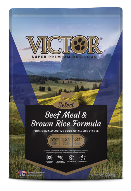 Victor Beef Meal & Brown Rice 5#