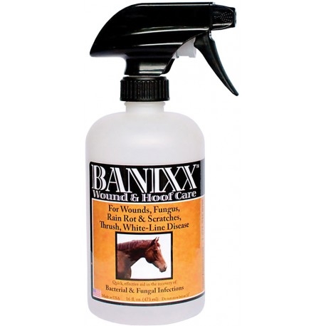 Banixx Horse & Pet Care Wounds, Fungus, Scratches, Rain Rot & Ringworm 16oz.
