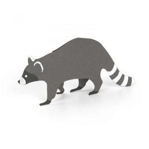Forest Racoon, Coon