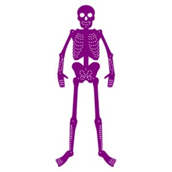 Ellison SureCut Die Set - Skeleton (3 Die Set) - Extra Large