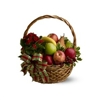 Plant & Fruit Basket