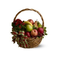 Plant & Fruit Basket
