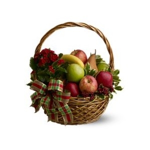 Plant & Fruit Basket
