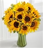 Sunny Sunflowers