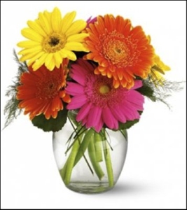 Eight Colorful Gerbra Daisies