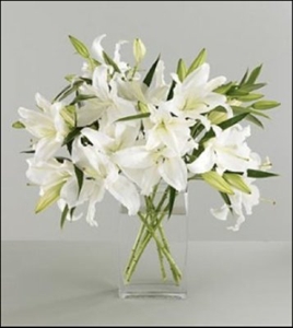 Simply Pure White Lilies