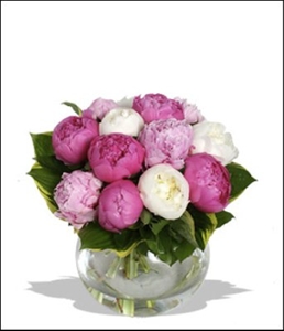 Mix Peonies in a Vase